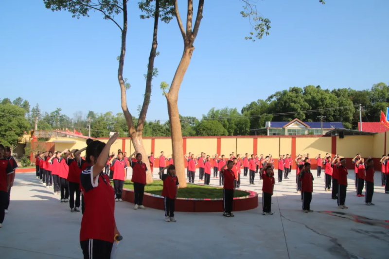 image2.JPG